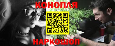 jwh Бердск