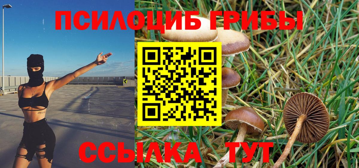 Галлюциногенные грибы GOLDEN TEACHER Спасск-Дальний