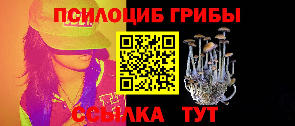 Спасск-Дальний  Галлюциногенные грибы мухоморы  Вход с VPN  Псилоцибиновые грибы GOLDEN TEACHER 